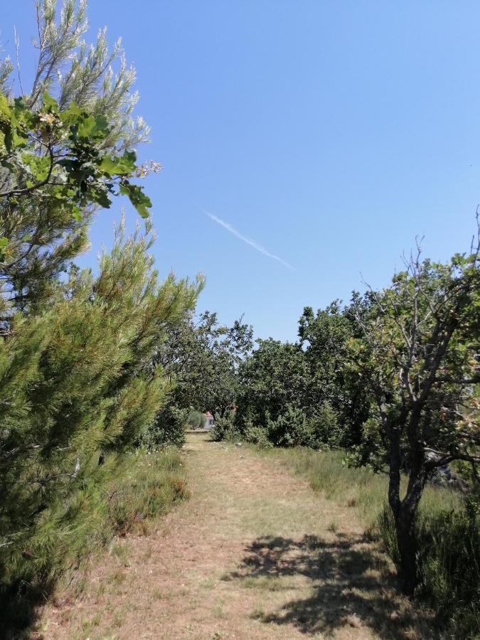 Holiday House Tunjarice Obrovac Dış mekan fotoğraf