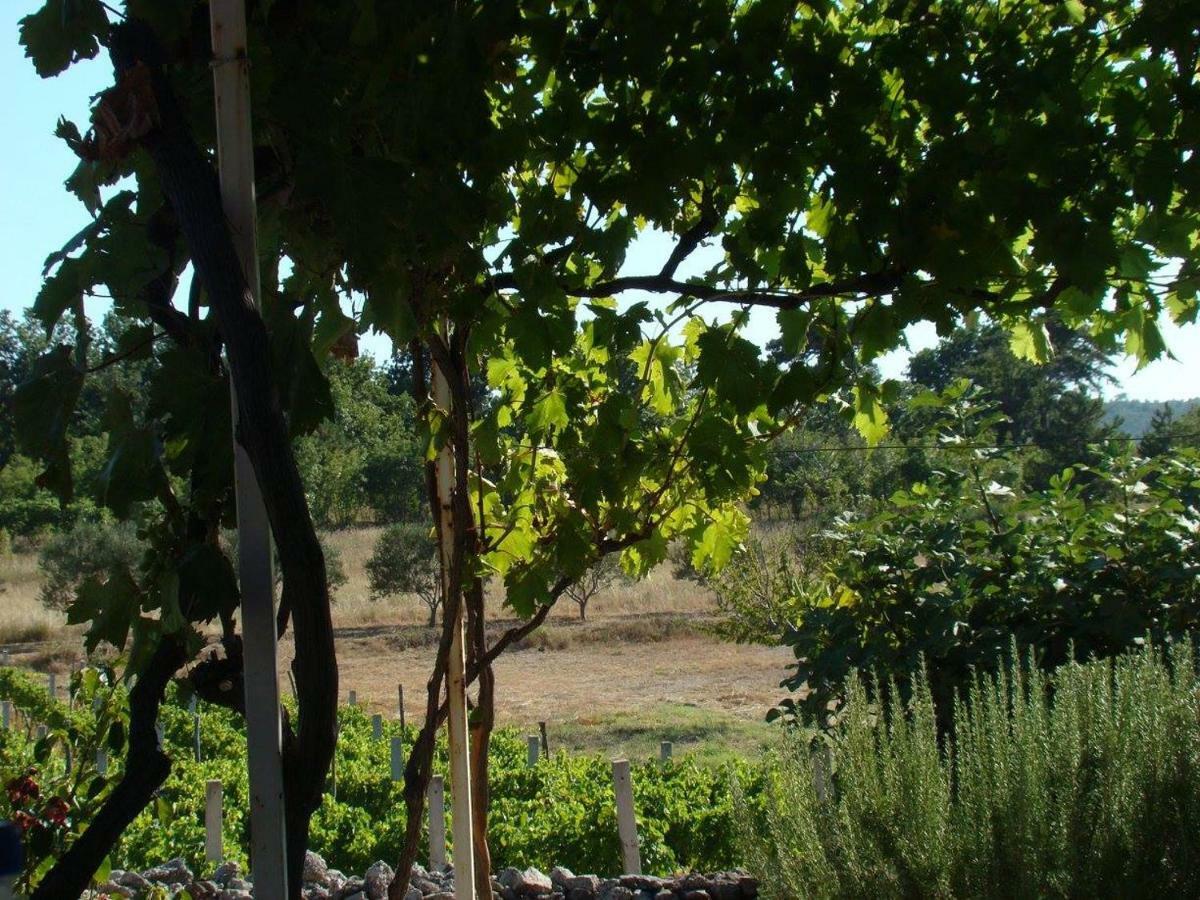 Holiday House Tunjarice Obrovac Dış mekan fotoğraf