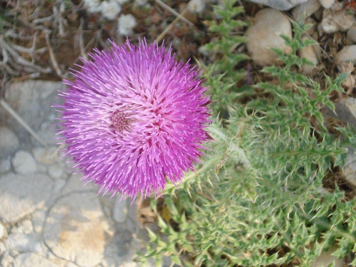 Holiday House Tunjarice Obrovac Dış mekan fotoğraf