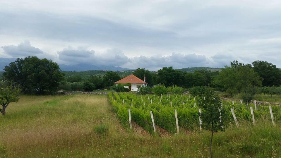 Holiday House Tunjarice Obrovac Dış mekan fotoğraf