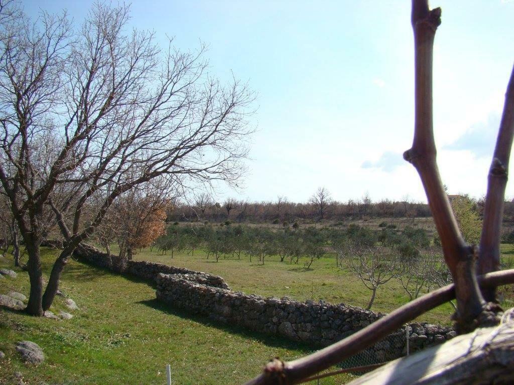 Holiday House Tunjarice Obrovac Dış mekan fotoğraf